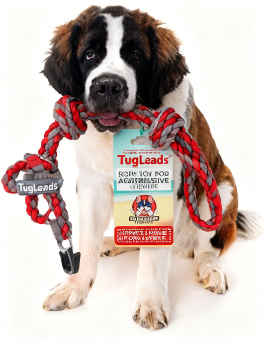 TugLeads® "Tug-O-Walk" 2-in-1 Dog Leash – Heavy-Duty Play Toy & No-Pull Walking Lead for Pull-Loving Adventure Pups!